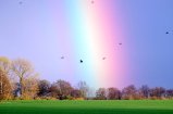 thumbnails/010-regenbogen.jpg.small.jpeg